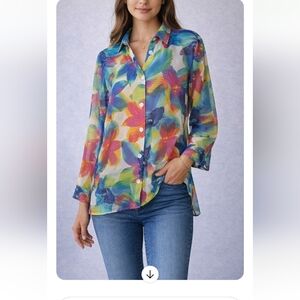 Brownstone Studio Sheer Floral Button Down Top | Size Large | Multicolor
